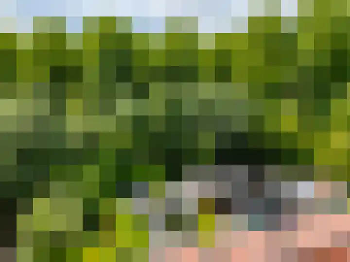 Lammerhof 30 Warnsveld thumbnail 29