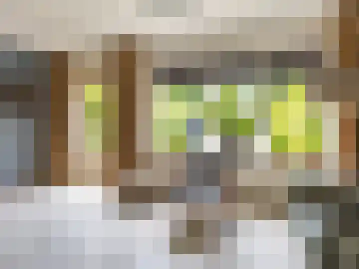 Lammerhof 30 Warnsveld thumbnail 5