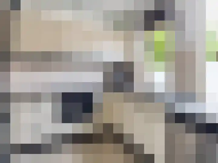 Lammerhof 30 Warnsveld thumbnail 8