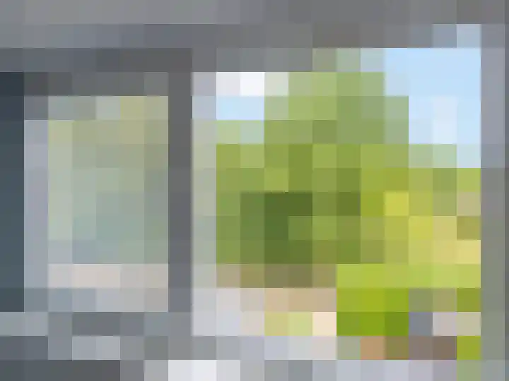 Lammerhof 54 Warnsveld thumbnail 24