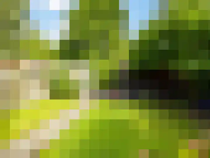 Lammerhof 54 Warnsveld thumbnail 26