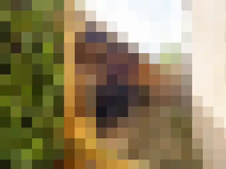 Lammerhof 54 Warnsveld thumbnail 30