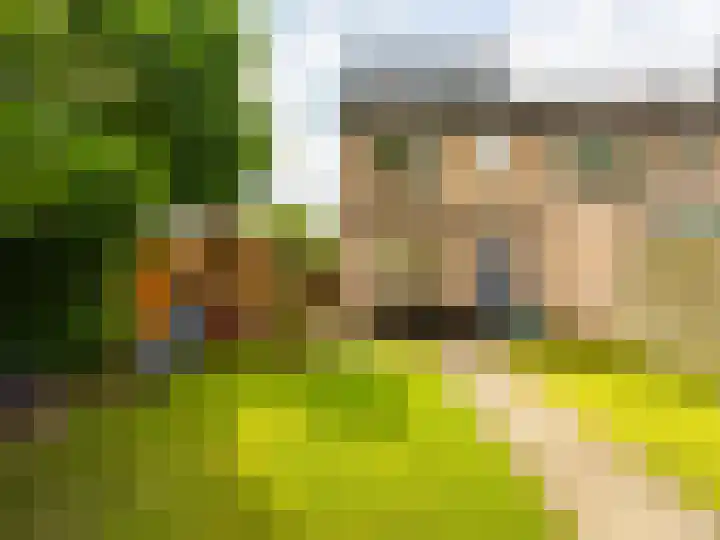 Lammerhof 54 Warnsveld thumbnail 32