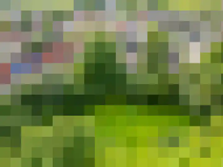 Lammerhof 54 Warnsveld thumbnail 35