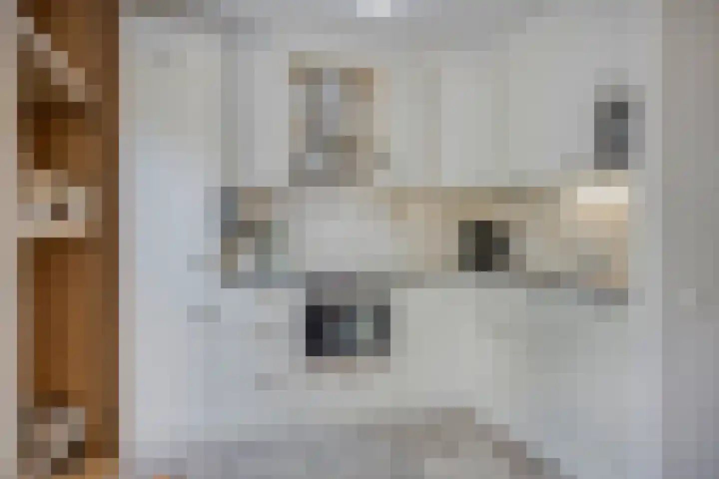 Lammerhof 81 Warnsveld thumbnail 12