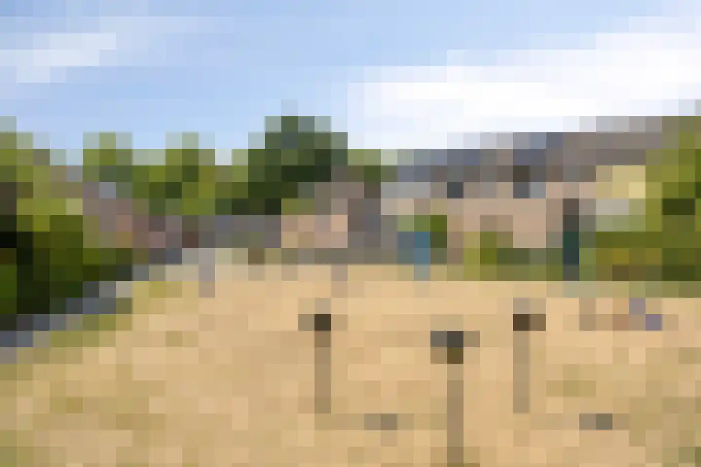 Lammerhof 81 Warnsveld thumbnail 28