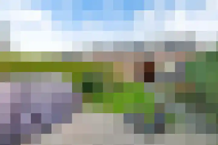 Lammerhof 95 Warnsveld thumbnail 17