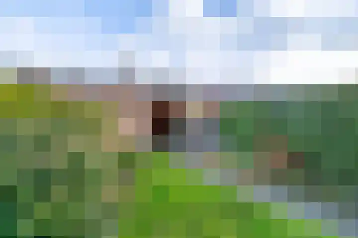 Lammerhof 95 Warnsveld thumbnail 18