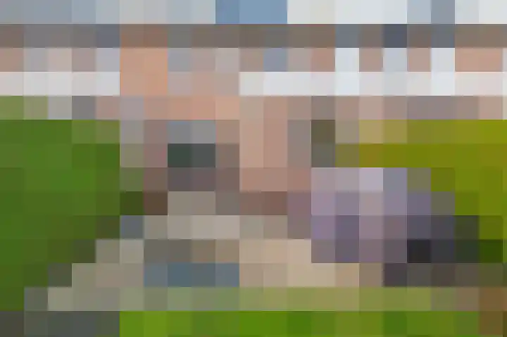Lammerhof 95 Warnsveld thumbnail 19