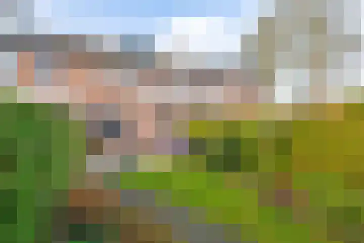 Lammerhof 95 Warnsveld thumbnail 20