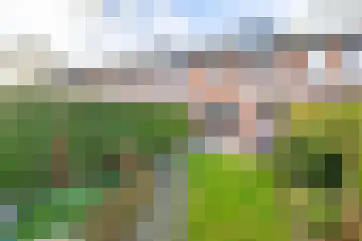 Lammerhof 95 Warnsveld thumbnail 21