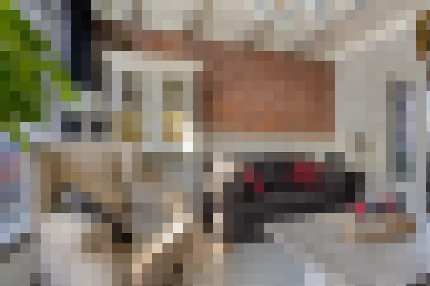Lammermarkt 10 Zierikzee thumbnail 8