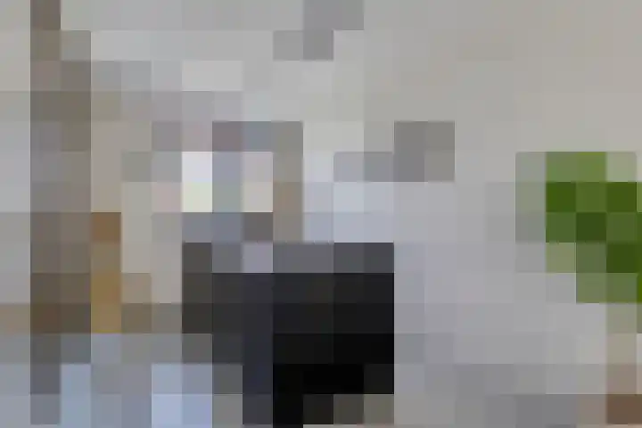 Lammersdonk 3 Helmond thumbnail 11