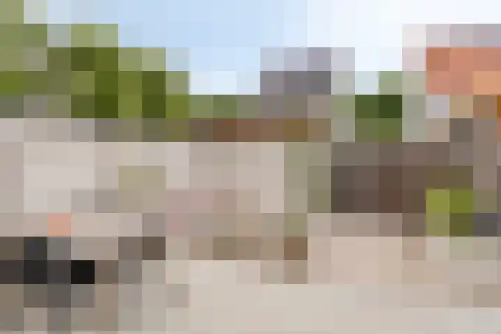 Lammersdonk 3 Helmond thumbnail 23
