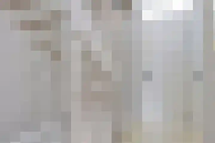 Lammersdonk 3 Helmond thumbnail 25