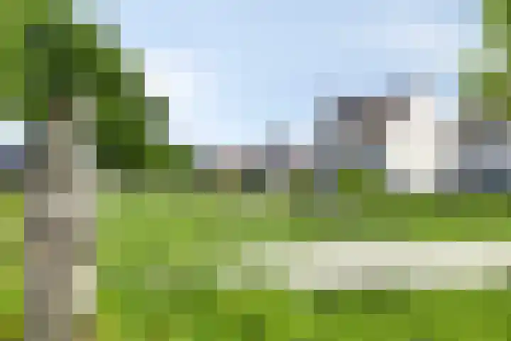 Lammersdonk 3 Helmond thumbnail 36