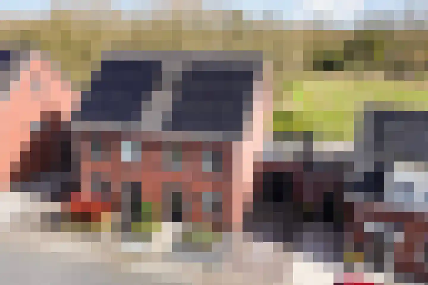 Lammerskamp 12 Well L thumbnail 7