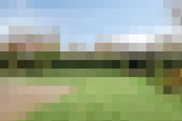 Lammersweg 21 Deventer thumbnail 29