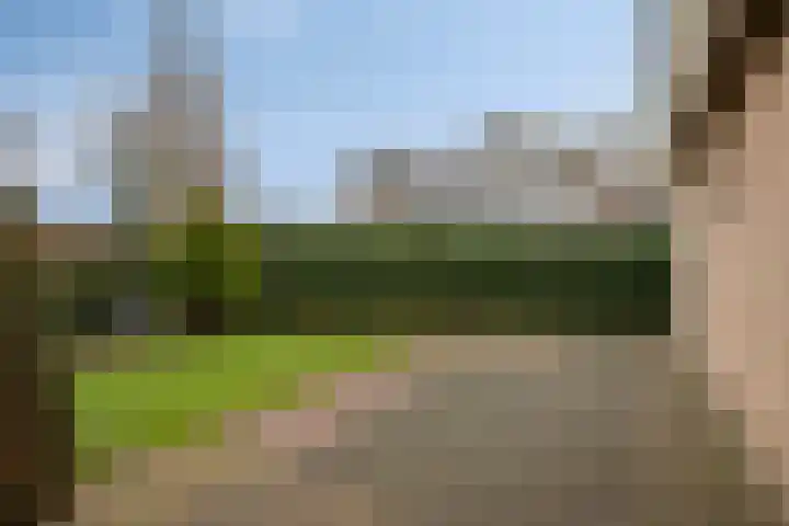 Lammersweg 21 Deventer thumbnail 36