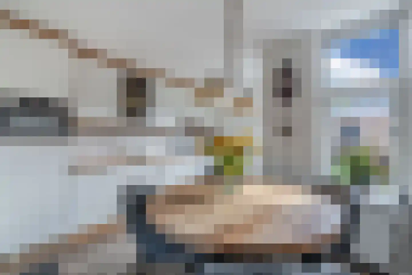 Lammert Hofstrastraat 12 Franeker thumbnail 26