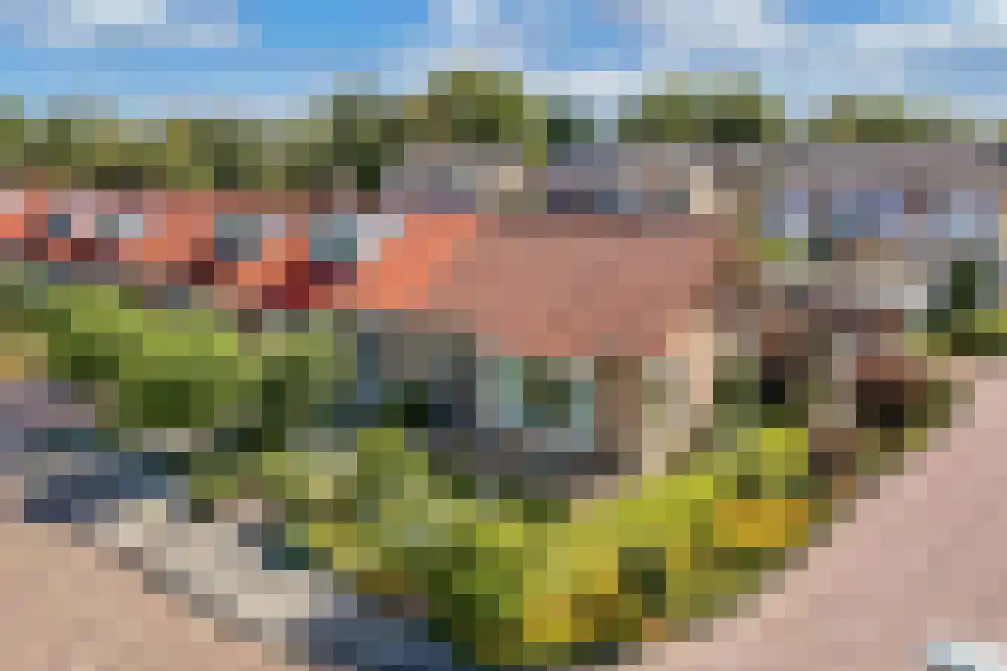 Lammert Hofstrastraat 12 Franeker thumbnail 5