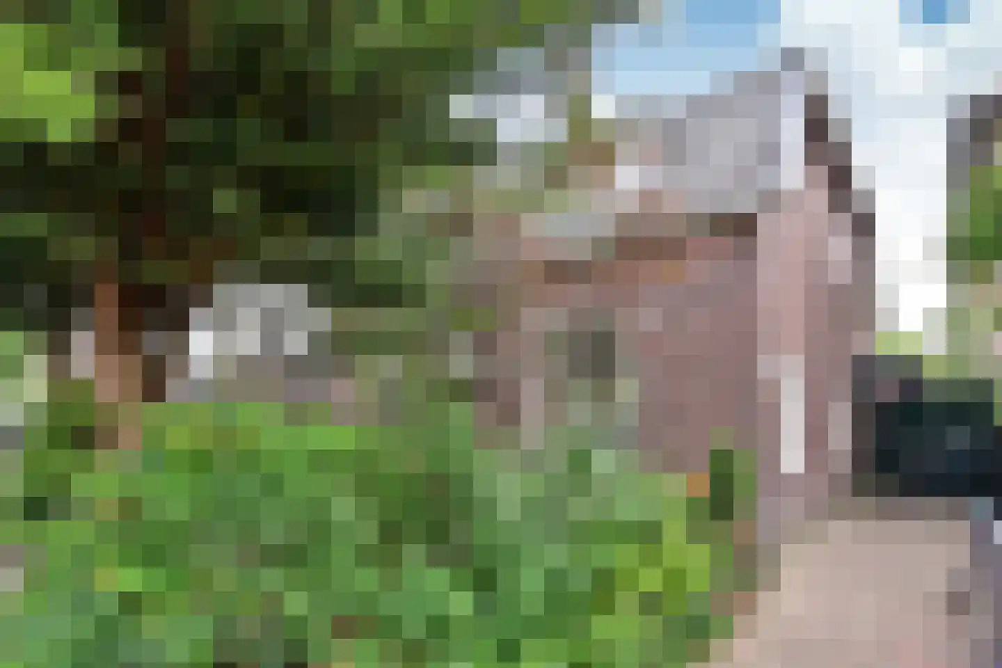 Lammert Majoorlaan 48 Bussum thumbnail 4