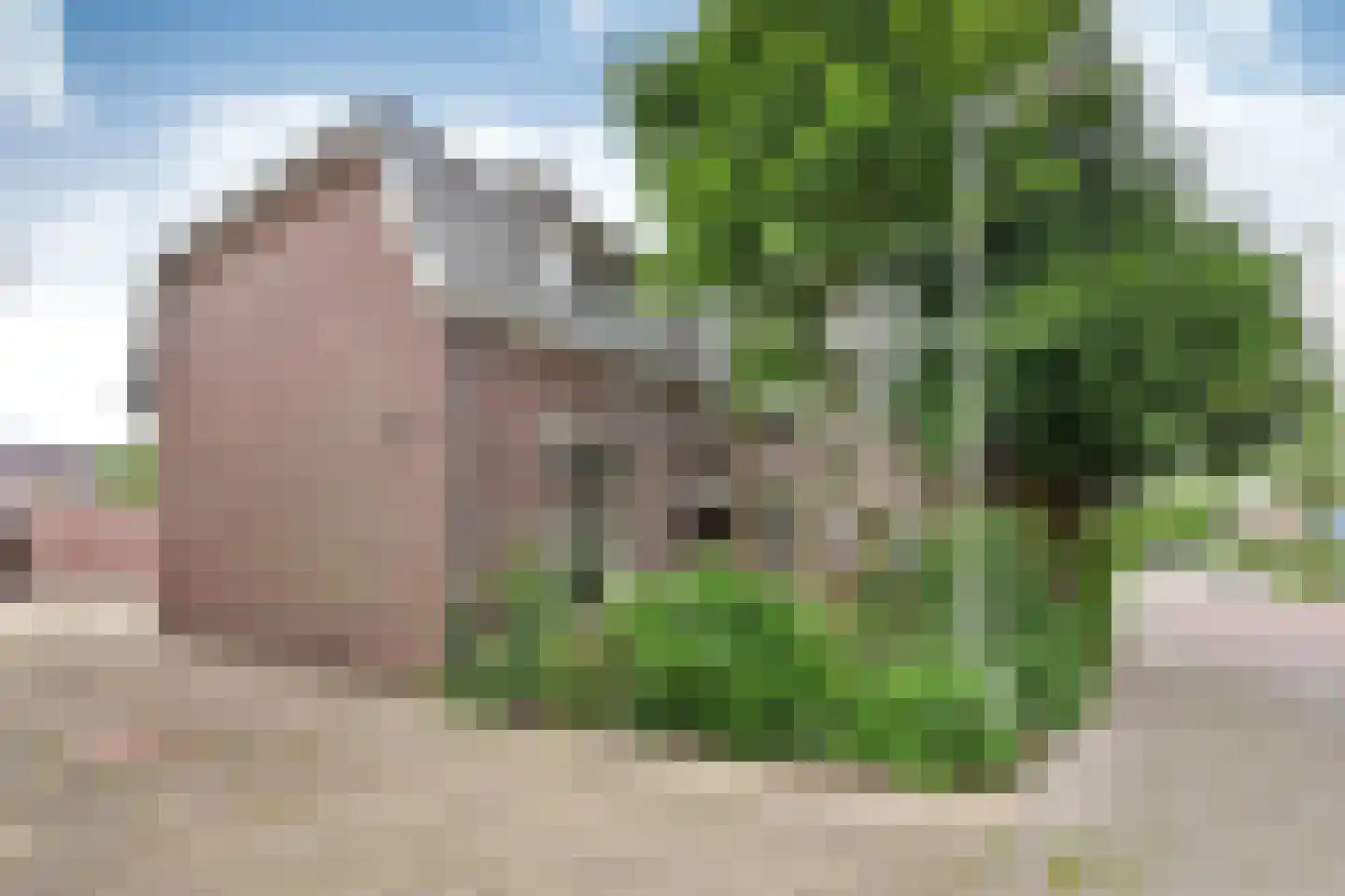 Lammert Majoorlaan 48 Bussum thumbnail 5