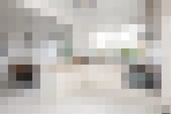 Lammert Scheltesstraat 23 Pingjum thumbnail 10