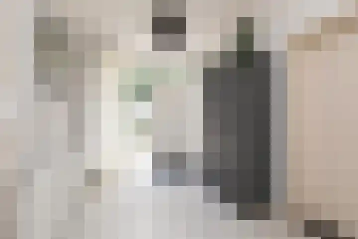 Lammert Scheltesstraat 23 Pingjum thumbnail 16