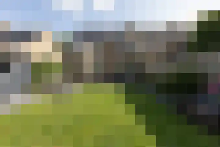 Lammert Scheltesstraat 23 Pingjum thumbnail 31