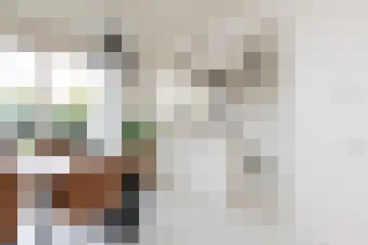 Lammert Scheltesstraat 23 Pingjum thumbnail 9