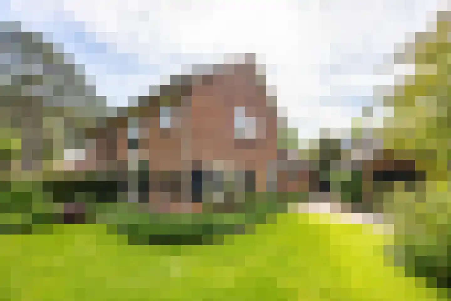 Lammert v d Tongelaan 2 Laren thumbnail 11