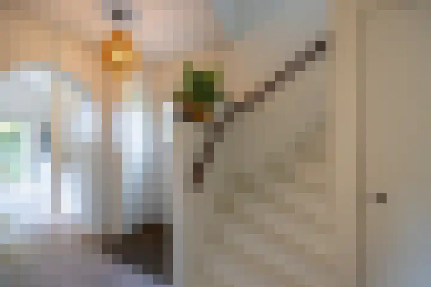 Lammert v d Tongelaan 2 Laren thumbnail 12