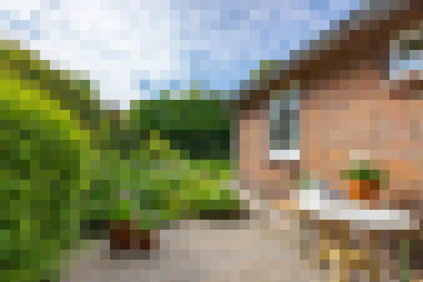 Lammert v d Tongelaan 2 Laren thumbnail 65