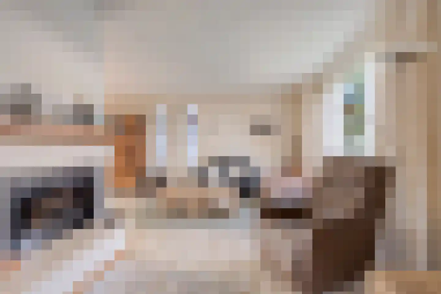 Lammertiend 10 Teteringen thumbnail 11