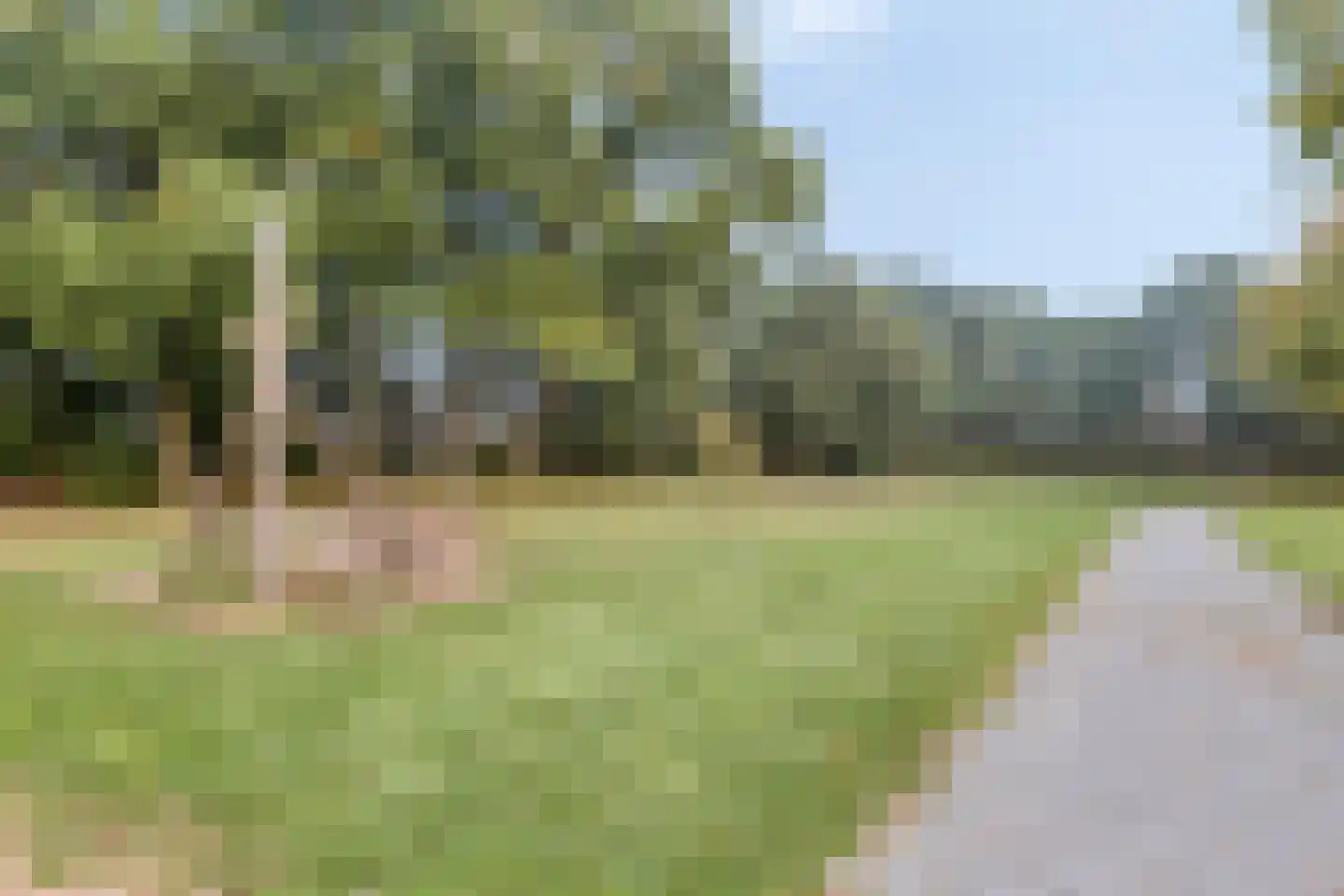 Lammertiend 10 Teteringen thumbnail 39