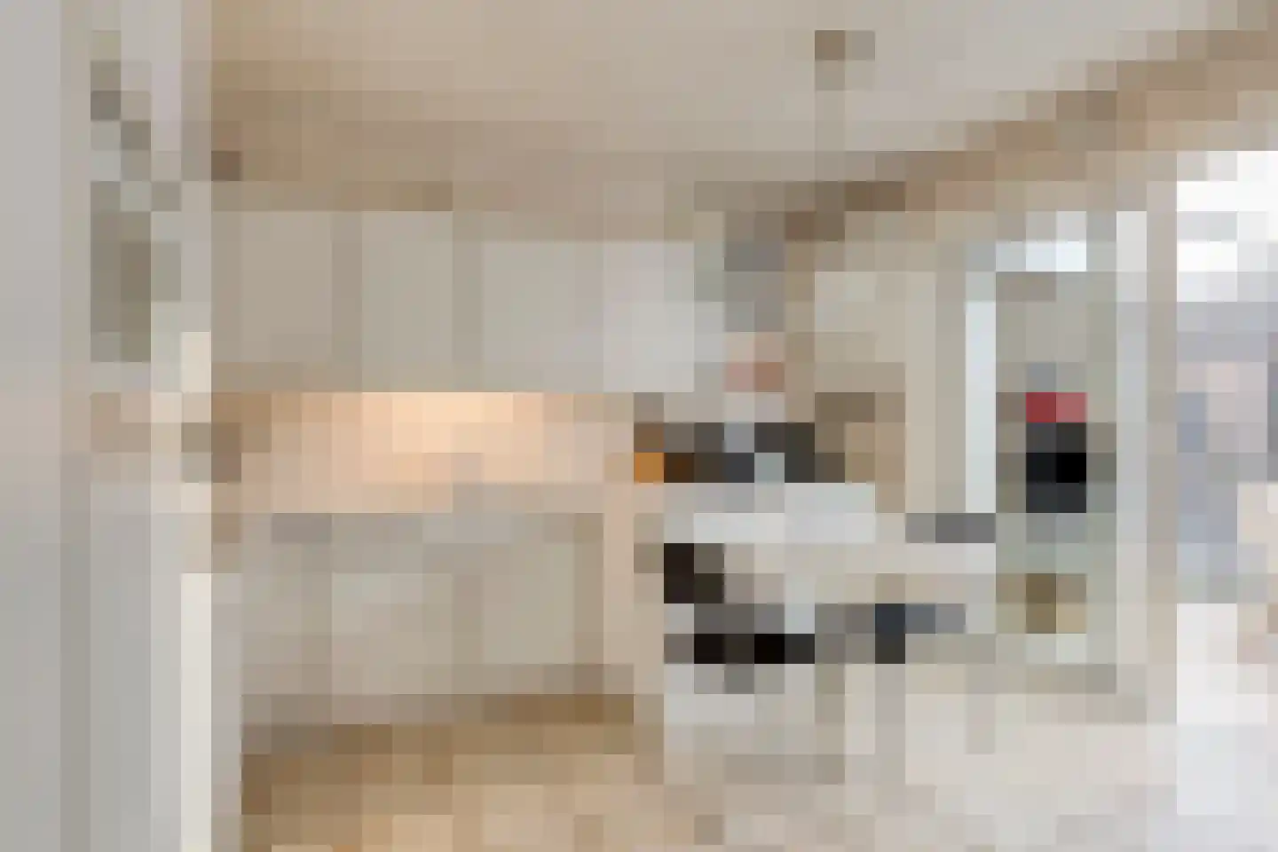 Lammertiend 10 Teteringen thumbnail 4