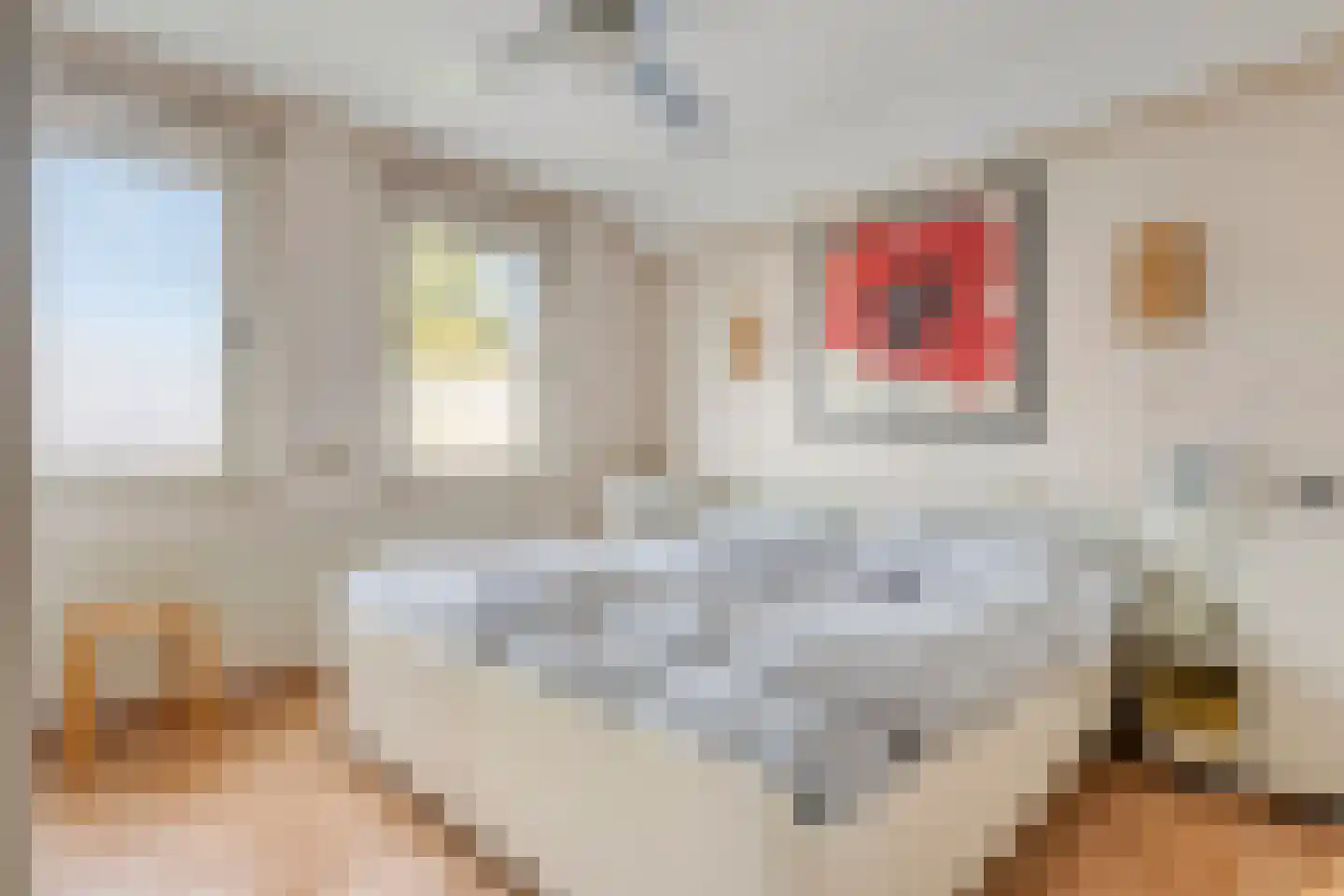 Lammertiend 10 Teteringen thumbnail 5
