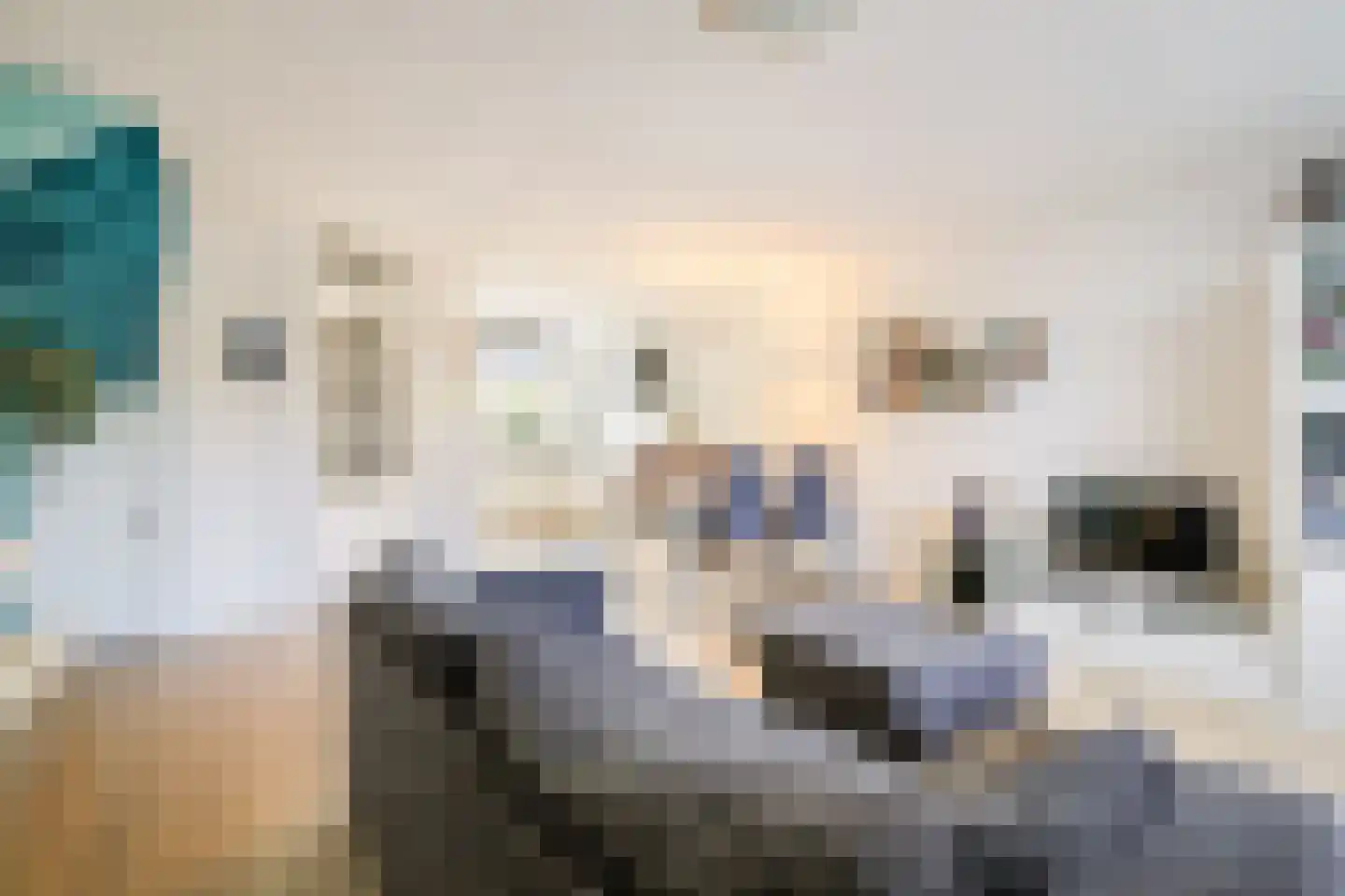 Lammertkamp 3 Harderwijk thumbnail 12