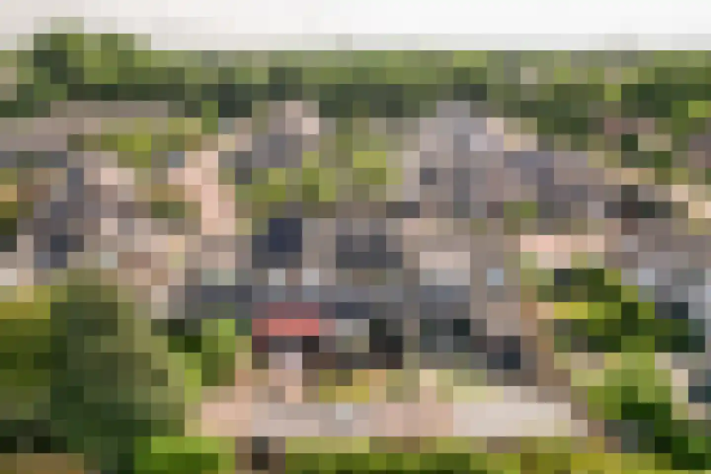 Lammertkamp 3 Harderwijk thumbnail 45