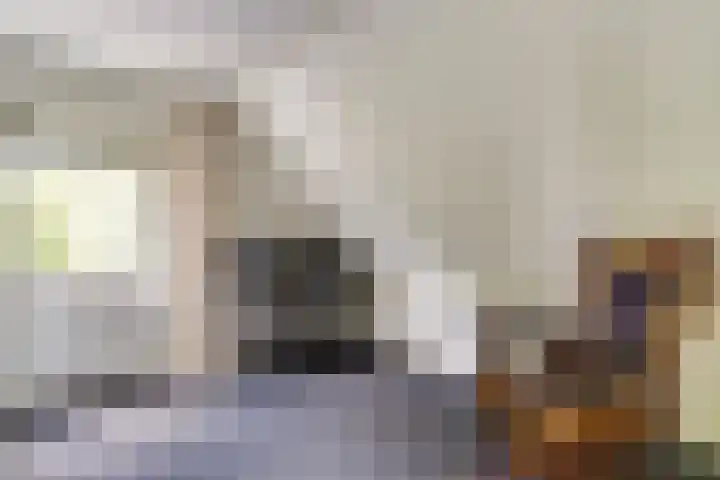 Lammerts van Buerenstraat 10 Franeker thumbnail 23