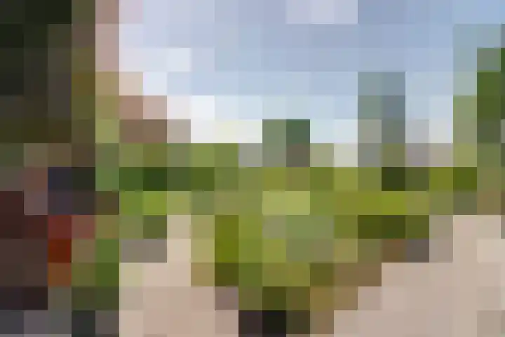 Lammerts van Buerenstraat 10 Franeker thumbnail 32
