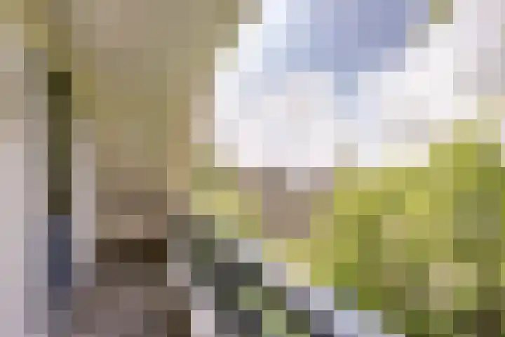 Lammerts van Buerenstraat 10 Franeker thumbnail 33