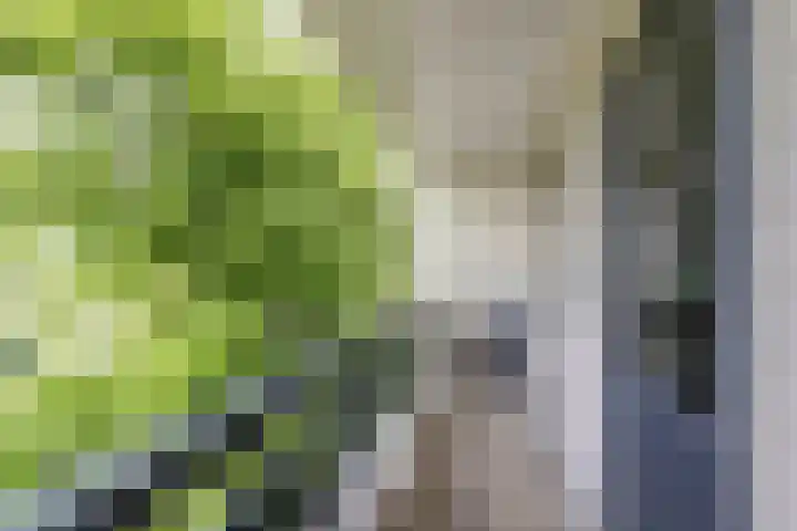 Lammerts van Buerenstraat 10 Franeker thumbnail 34