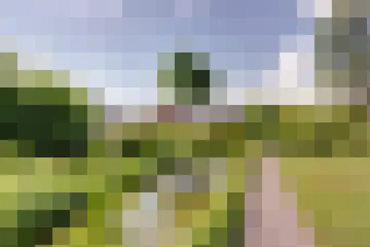 Lammerts van Buerenstraat 10 Franeker thumbnail 36