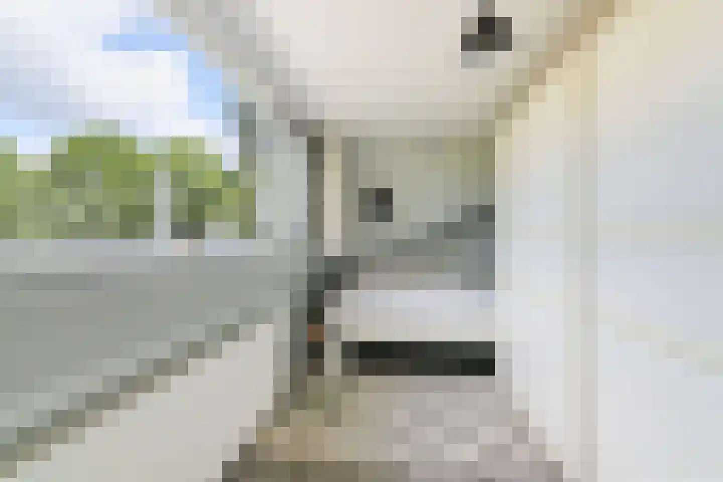 Lammerts van Buerenstraat 2 Franeker thumbnail 28