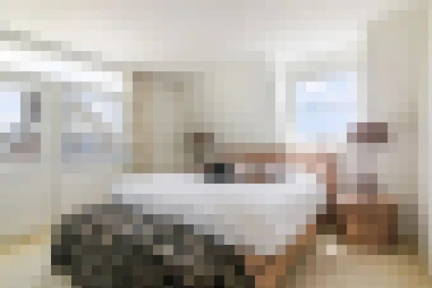 Lammerts van Buerenstraat 2 Franeker thumbnail 30