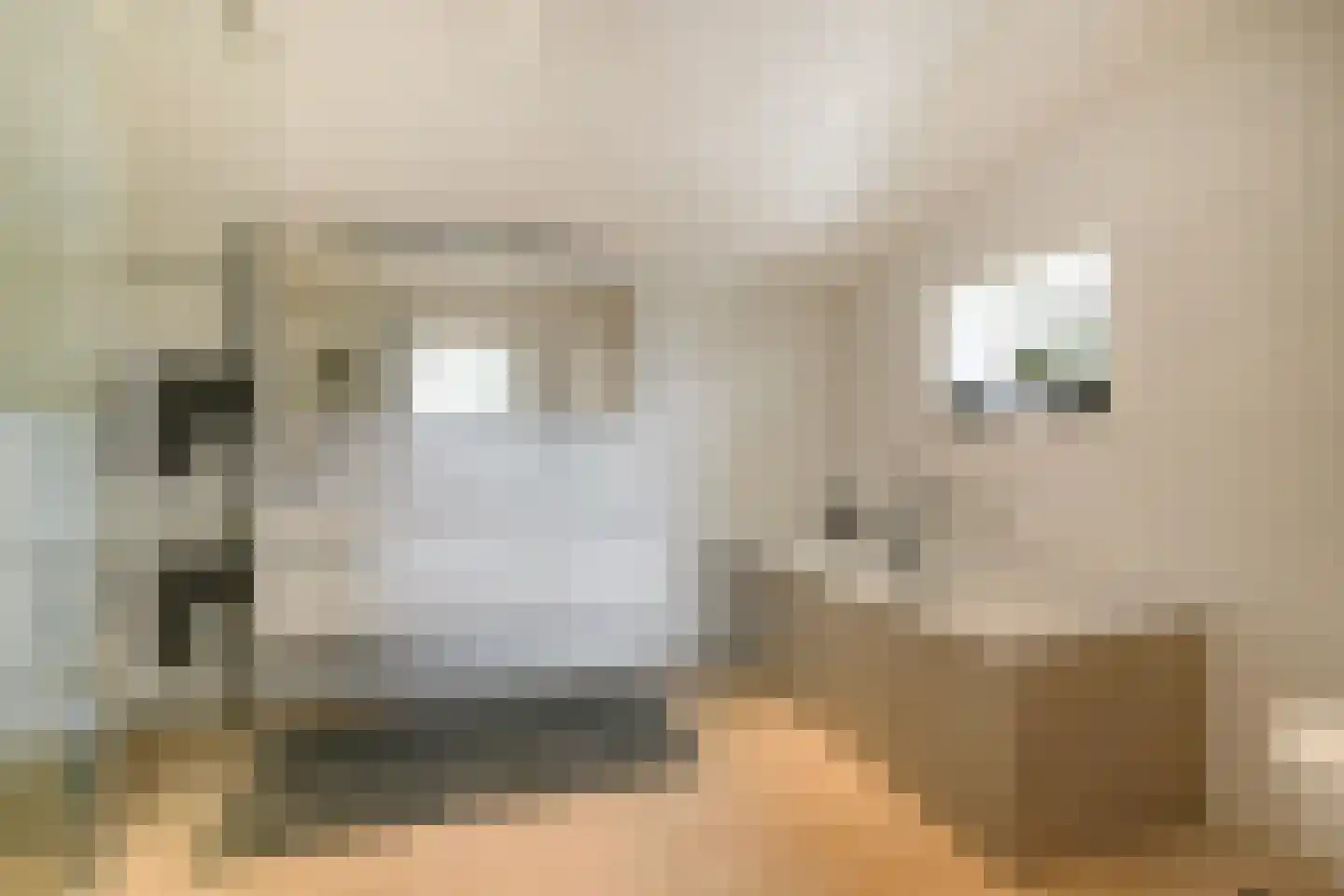 Lammerts van Buerenstraat 2 Franeker thumbnail 32