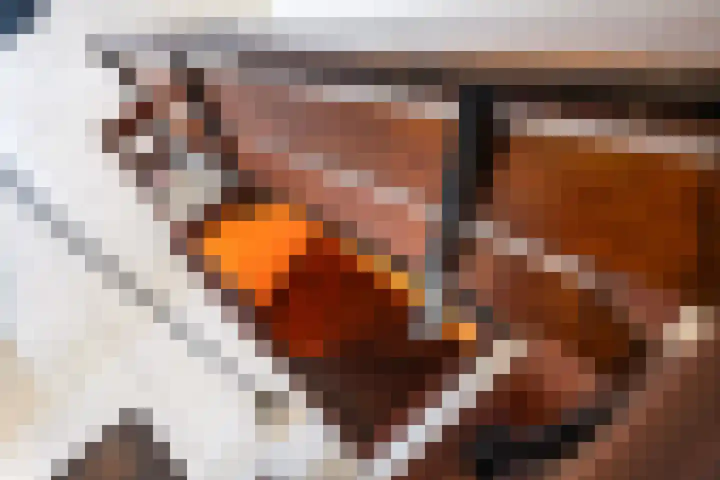 Lammerts van Buerenstraat 2 Franeker thumbnail 33