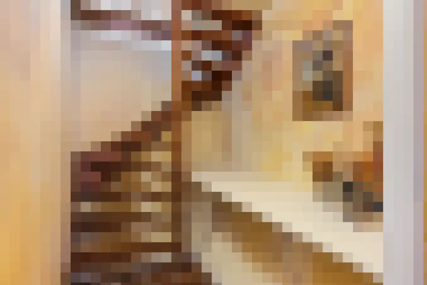 Lammerts van Buerenstraat 2 Franeker thumbnail 34